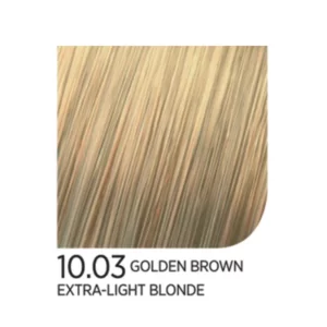 10.03 Golden Brown Extra-Light Blonde