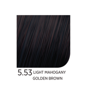 5.53 Light Mahogany Golden Brown