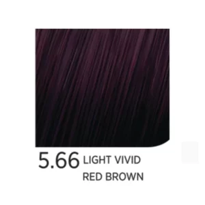 5.66 Light Vivid Red Brown