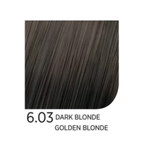 6.03 Dark Blonde Golden Blonde