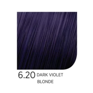 6.20 Dark Violet Blonde