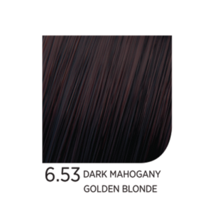 6.53 Dark Mahogany Golden Blonde