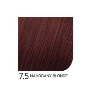 7.5 Mahogany Blonde