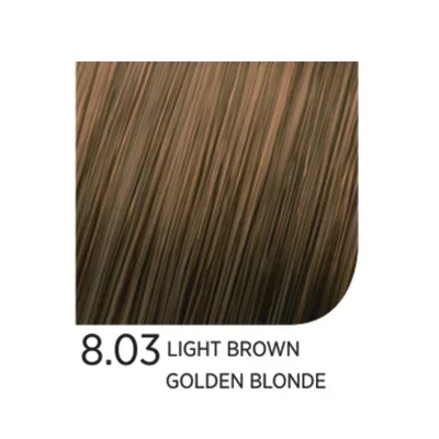 8.03 Light Brown Golden Blonde