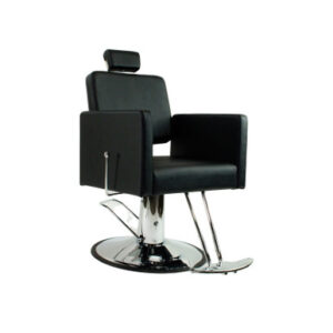 KENDALE ALL-PURPOSE SALON CHAIR BY BERKELEY