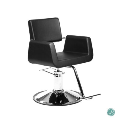 ARON MODERN STYLING CHAIR BY BERKELEY